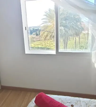 Gran Cerca Del Mar Y Castillo